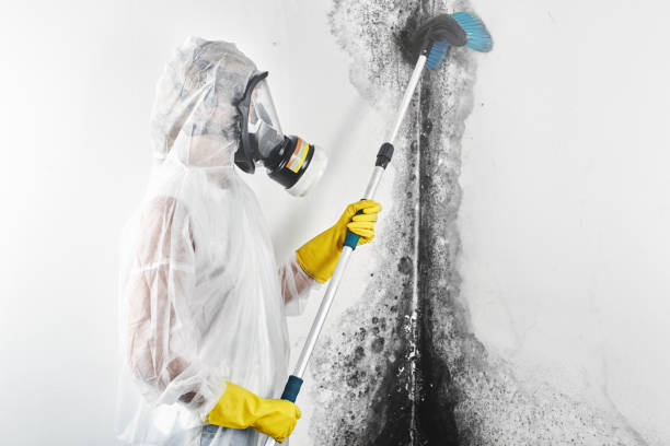 Best Air Quality Testing for Mold Spores  in Coyne Center, IL