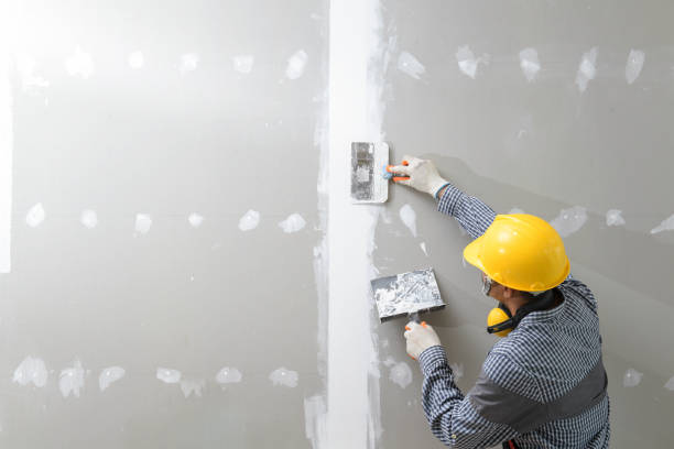 Best Mold Prevention Services  in Coyne Center, IL