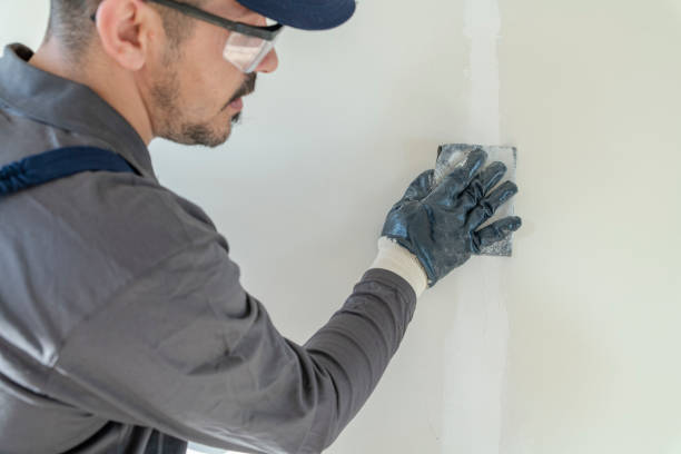 Best Asbestos and Lead Testing During Mold Inspection  in Coyne Center, IL