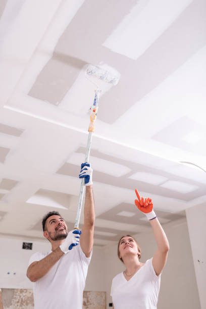 Best Comprehensive Air Testing for Mold Contaminants  in Coyne Center, IL