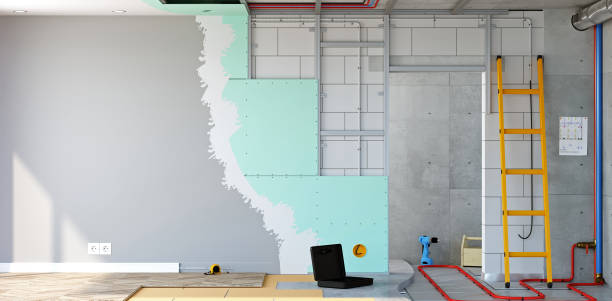 Coyne Center, IL Mold Removal Company