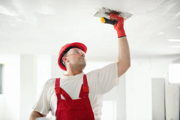 Best Mold-Related Health Consultation  in Coyne Center, IL