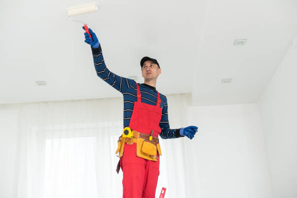 Best Black Mold Removal  in Coyne Center, IL