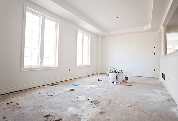 Best Mold Odor Removal Services  in Coyne Center, IL