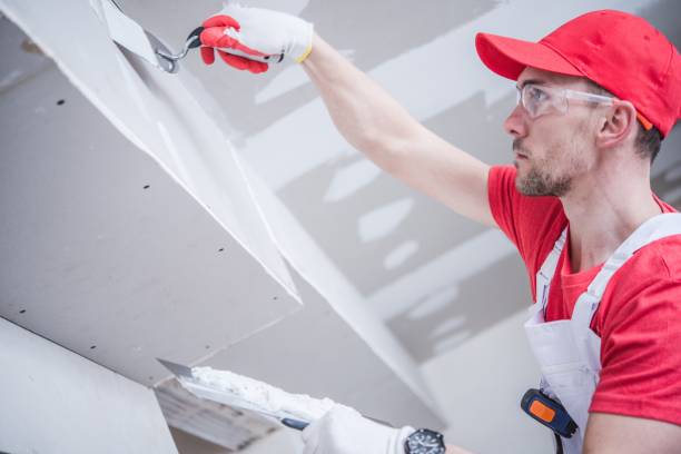 Environmental Consulting for Mold Prevention in Coyne Center, IL